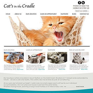 Concept Website Designs and Marketing Gold Coast Web Design Cats in the cradle Website Design - Gallery 13